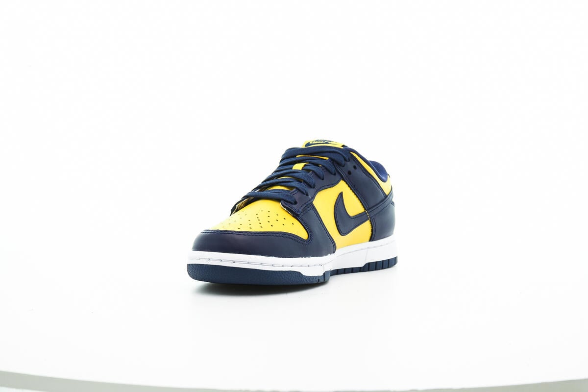 Nike DUNK LOW RETRO 